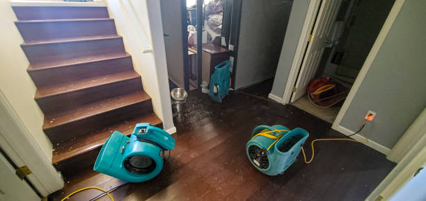 Best Mold removal after water damage  in Red Bank, SC