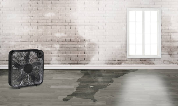 Best Commercial water damage restoration  in Red Bank, SC