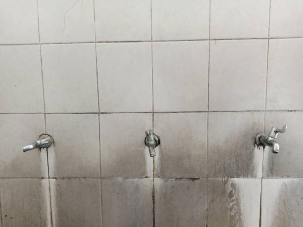 Best Fire Damage Restoration  in Red Bank, SC