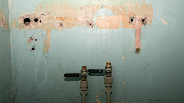 Best Local water damage restoration  in Red Bank, SC