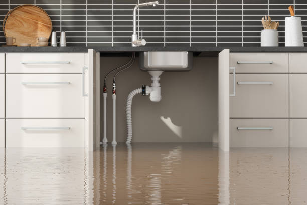 Best Emergency water damage restoration  in Red Bank, SC