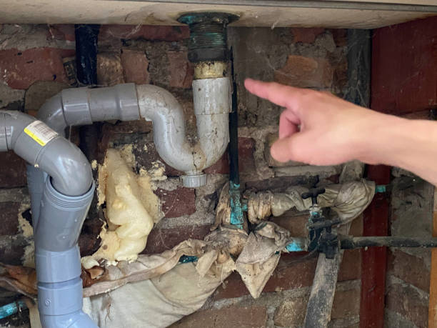 Best Professional water damage repair  in Red Bank, SC