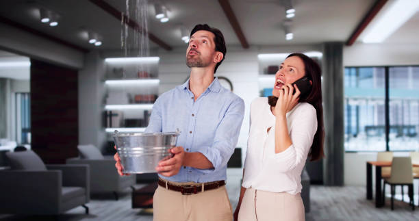 Best Water damage repair service  in Red Bank, SC