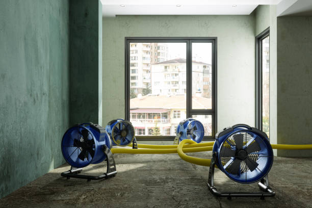 Best Sewage cleanup and water damage restoration  in Red Bank, SC
